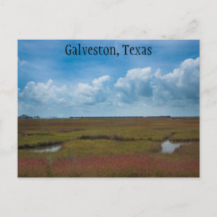 Carte Postale Train et Marais en Galveston, Texas Postcard