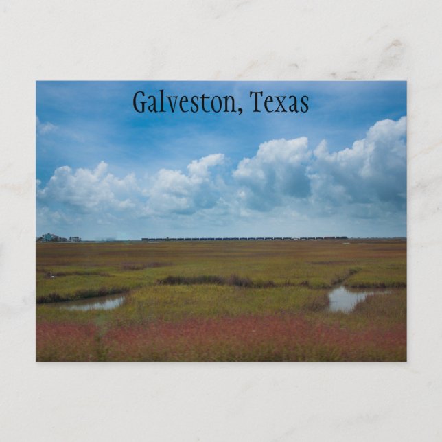Carte Postale Train et Marais en Galveston, Texas Postcard (Devant)