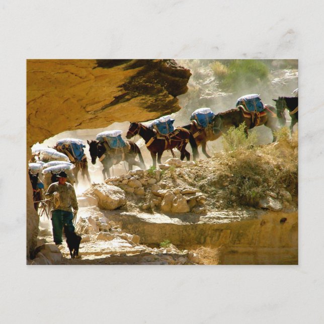 Carte Postale Train Havasu Canyon Pack (Devant)