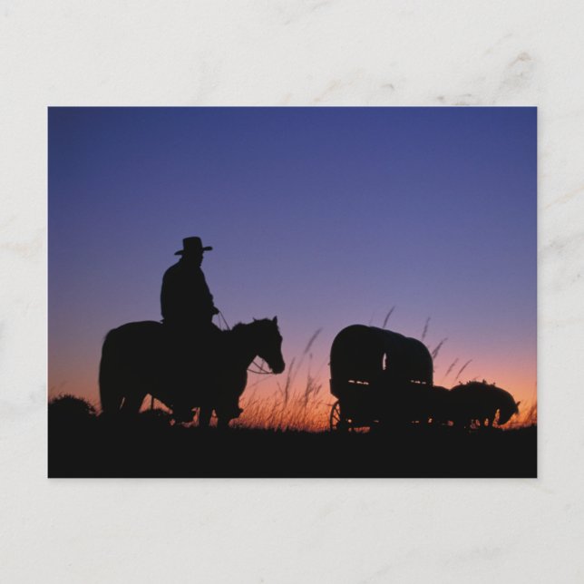 Carte Postale Train Wagon (Devant)