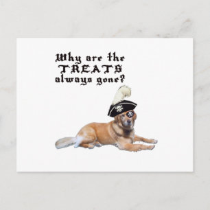 Carte Postale Traitements de chien pirate
