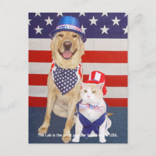 Carte Postale Traits de laboratoire - Populaires