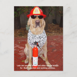 Carte Postale Traits de laboratoire - Utilisation par la police