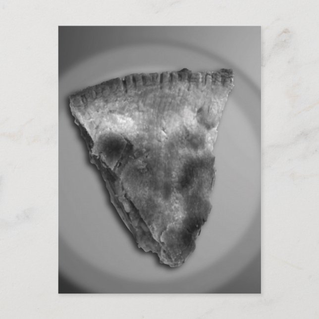 Carte Postale Tranche de tarte aux pommes (Devant)