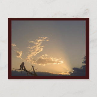 Carte postale Tranquillité