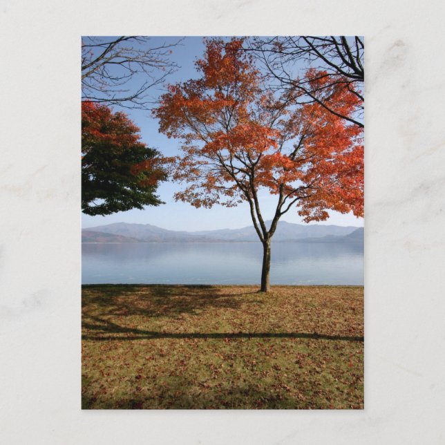 Carte Postale Tranquillité (Devant)