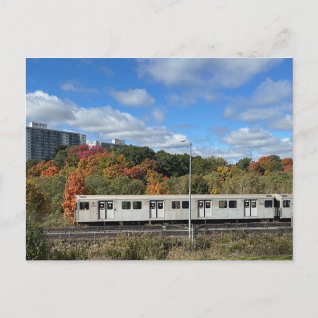 Carte Postale Transit Toronto Postcard 005 (Devant)
