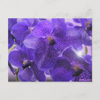 CARTE POSTALE TRANSPARENCE