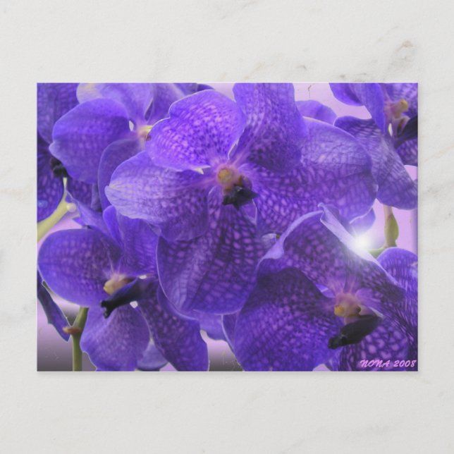 CARTE POSTALE TRANSPARENCE (Devant)