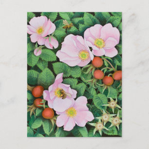 Carte Postale Travail d'équipe 2011