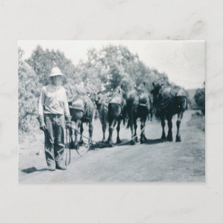 Carte Postale Travail du matin