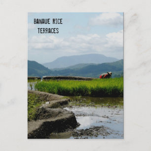 Carte Postale Travail sur les terrasses