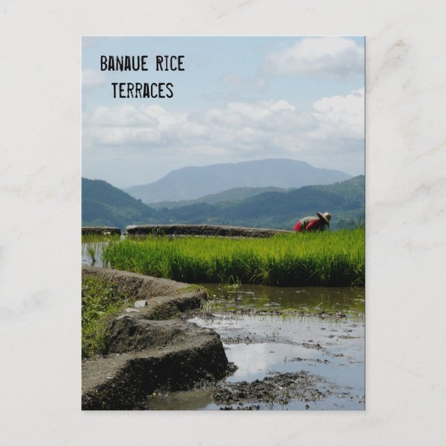Carte Postale Travail sur les terrasses (Devant)