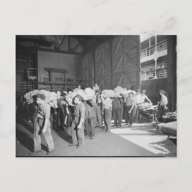 Carte Postale Travailler sur le Bateau Banana - Vintage (Devant)