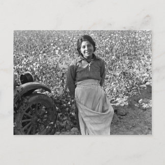 Carte Postale Travailleur migrant à côté d'un champ de coton