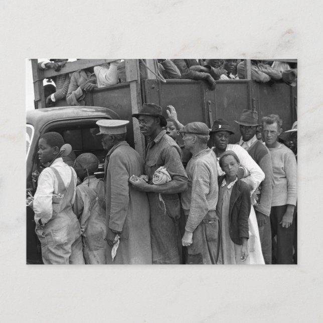 Carte Postale Travailleurs des légumes migrants : 1939 (Devant)