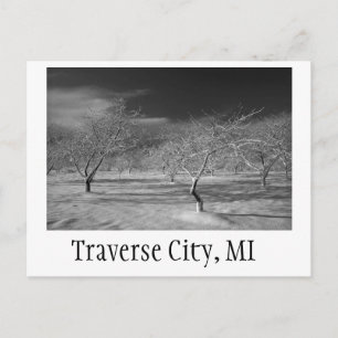 Carte Postale Traverse City Cherry Orchard