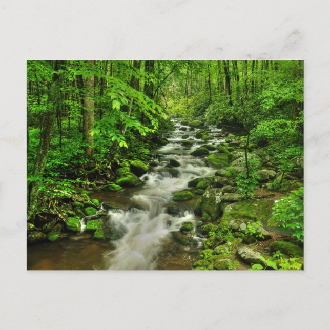 Carte Postale Traversée à moteur des fourches (Devant)