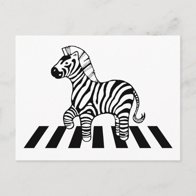 Carte Postale Traversée de Zebra (Devant)