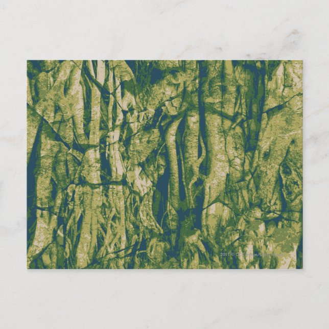 Carte Postale Tree bark camouflage (Devant)