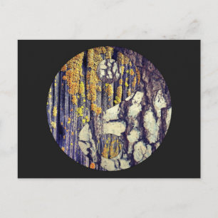 Carte postale Tree Bark Yin Yang