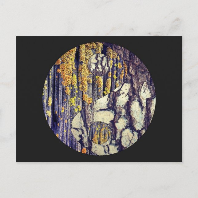 Carte postale Tree Bark Yin Yang (Devant)