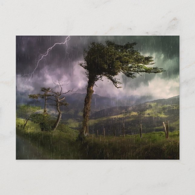 Carte Postale Tree Blowing in the Wind During a Thunder Storm (Devant)