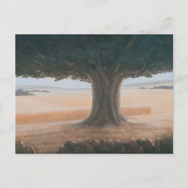 Carte Postale Tree Holwell 2012 (Devant)