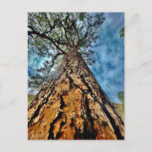 Carte Postale Tree of Life
