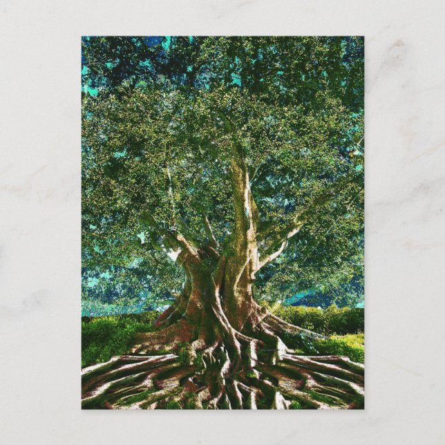 Carte Postale Tree of Life Green (Devant)