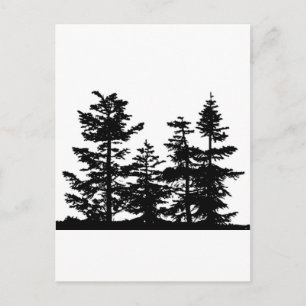 Carte Postale Tree Silhouettes