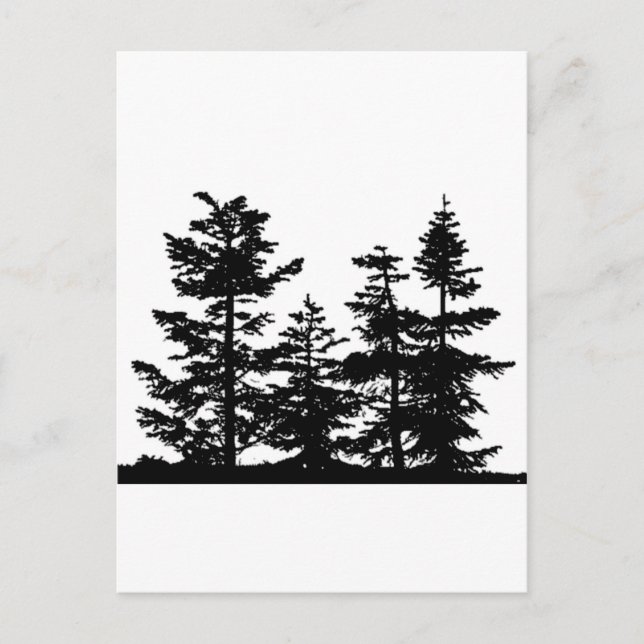 Carte Postale Tree Silhouettes (Devant)