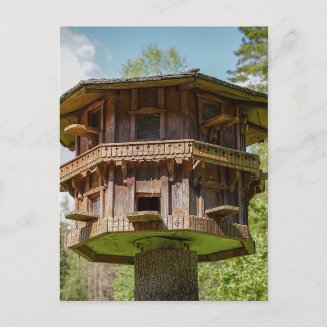 CARTE POSTALE TREEHOUSE FANCY TREE HOUSE (Devant)