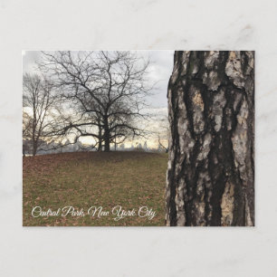 Carte Postale Trees New York NYC Sunrise Central Park Skyline