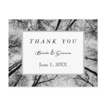 Treetops monochromatiques merci