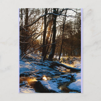 Carte Postale Treppenbach