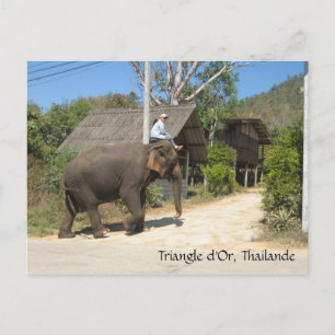 Carte Postale Triangle d'Or, Thailande