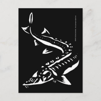 Carte Postale Tribal1