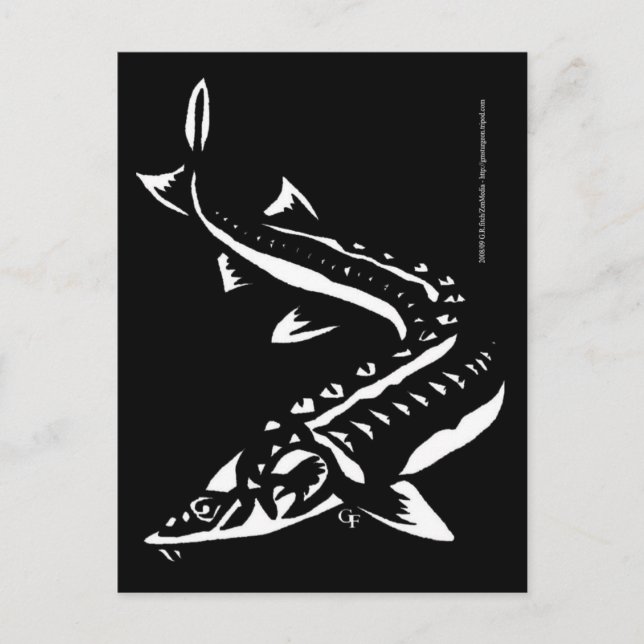 Carte Postale Tribal1 (Devant)