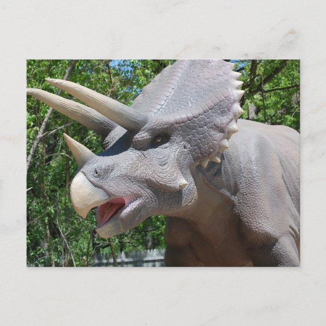 Carte Postale Tricératops/Dinosaures (Devant)