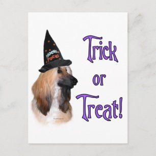 Carte Postale Trick afghan