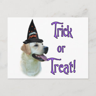 Carte Postale Trick de Labrador Retriever (jaune)
