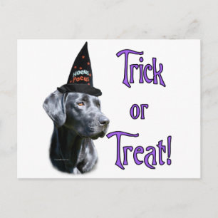 Carte Postale Trick de Labrador Retriever (noir)