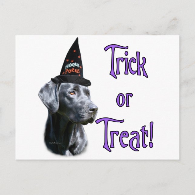Carte Postale Trick de Labrador Retriever (noir) (Devant)