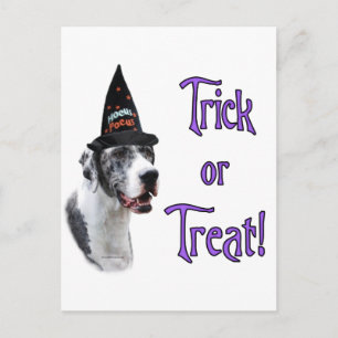 Carte Postale Trick Great Dane (merle)