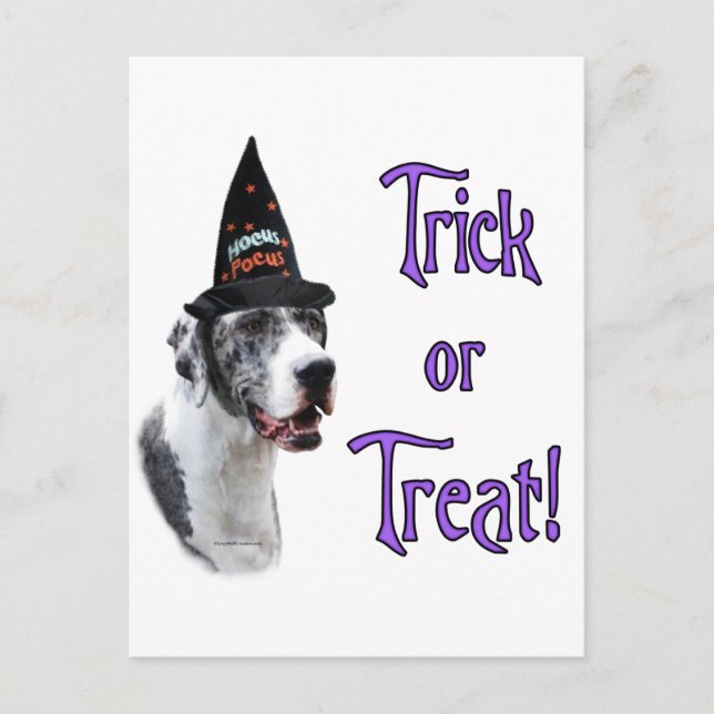 Carte Postale Trick Great Dane (merle) (Devant)