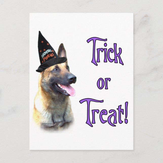 Carte Postale Trick Malinois (Devant)