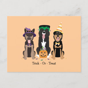 Carte Postale Trick Ou Traiter Les Chiens En Costumes D'Hallowee