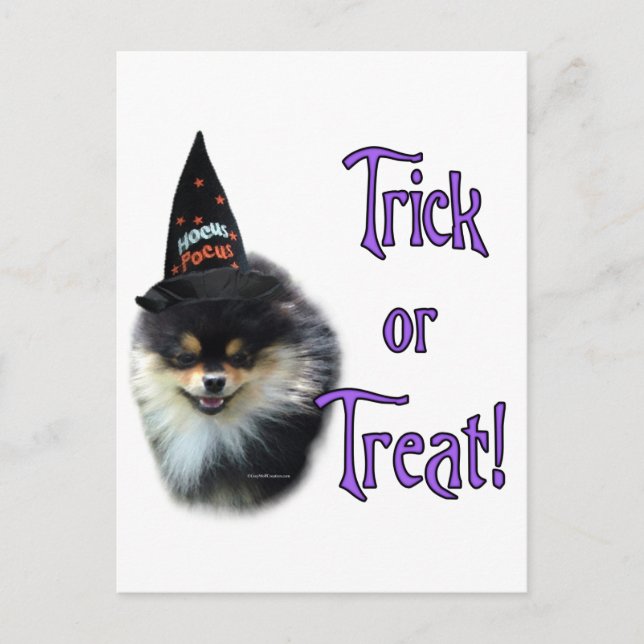 Carte Postale Trick Pomeranian (Devant)
