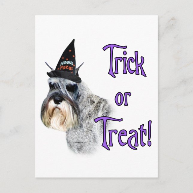 Carte Postale Trick Schnauzer (Devant)